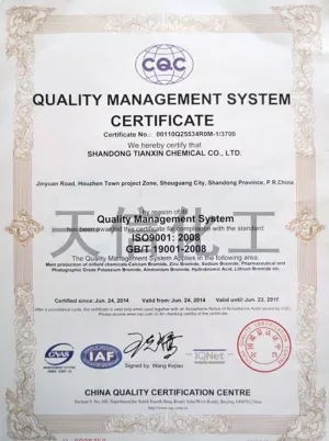 ISO9001(英文)