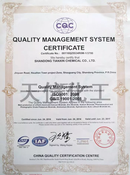 ISO9001(英文)