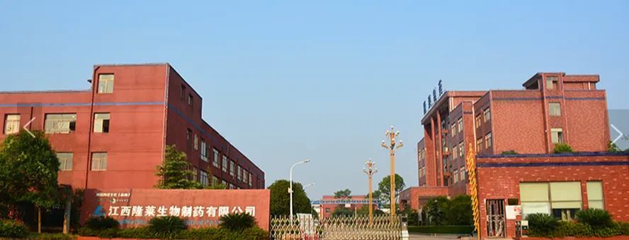 厂房大门