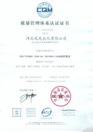 ISO9001(中文)