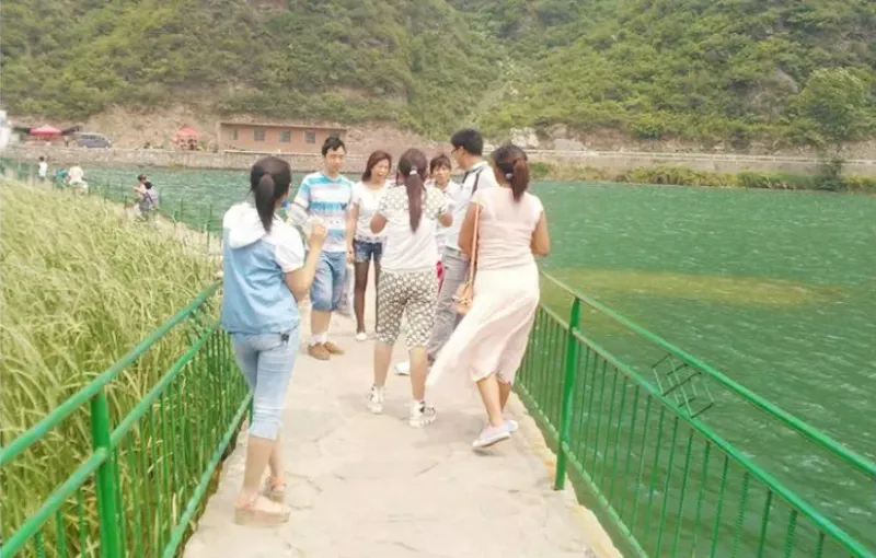 公司活动
