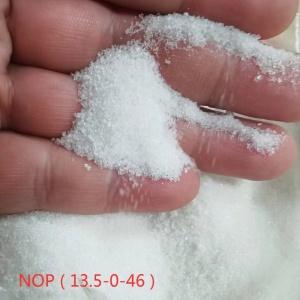 硝酸钾NOP