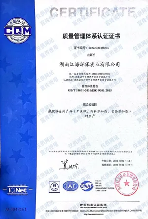 ISO9001(中文)