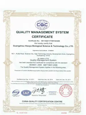 ISO9001(英文)