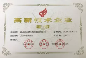 荣誉证书