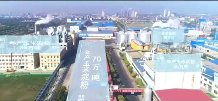 办公区域