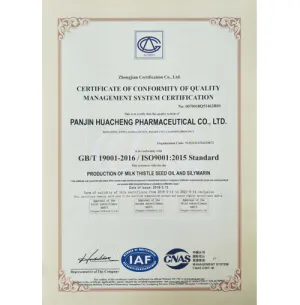 ISO9001(英文)