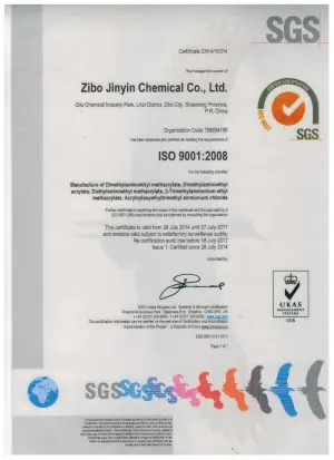 ISO9001(英文)