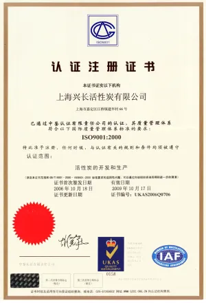 ISO9001(英文)