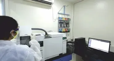 其他图片