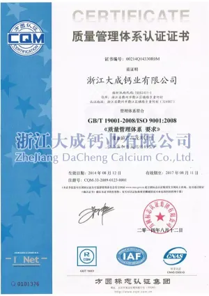 ISO9001(中文)