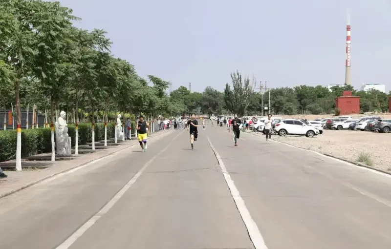 公司活动