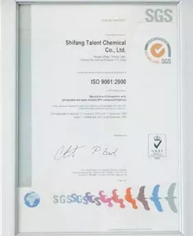 ISO9001(英文)