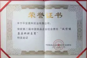 荣誉证书