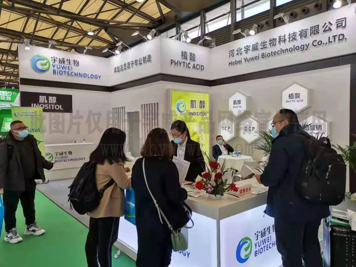 公司参展