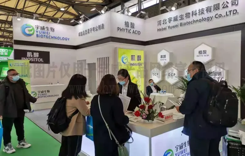 公司参展