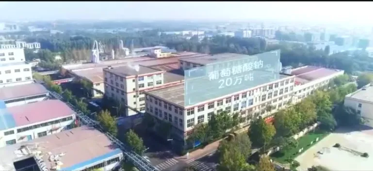 办公区域