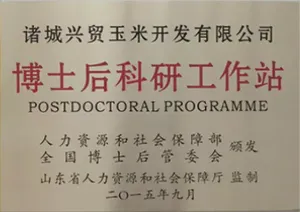荣誉证书