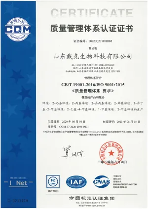 ISO9001(中文)