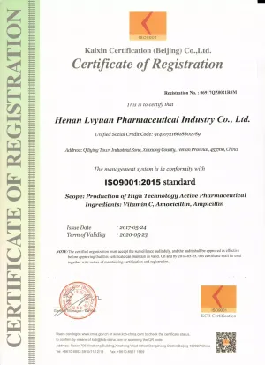 ISO9001(英文)