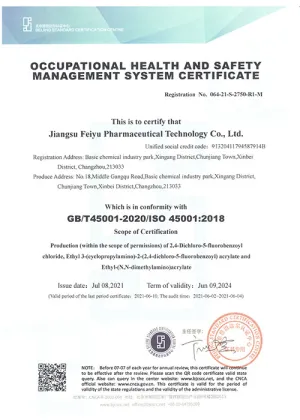 ISO45001