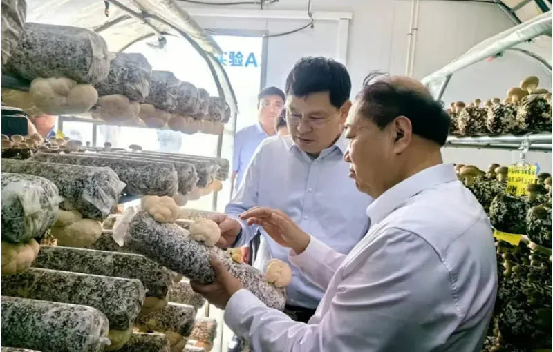仓库图片