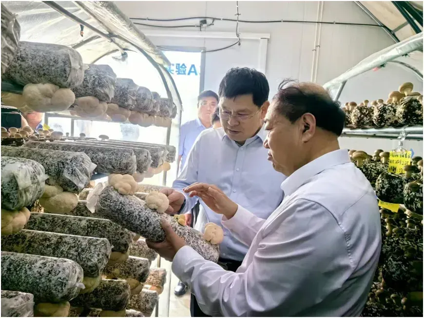 仓库图片