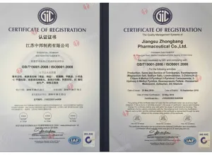 ISO9001(中文)