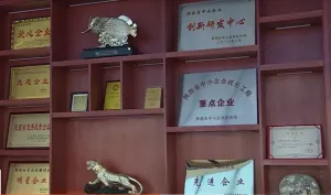 荣誉证书