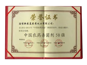 荣誉证书