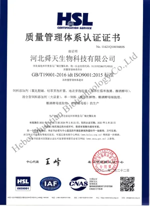 ISO9001(中文)