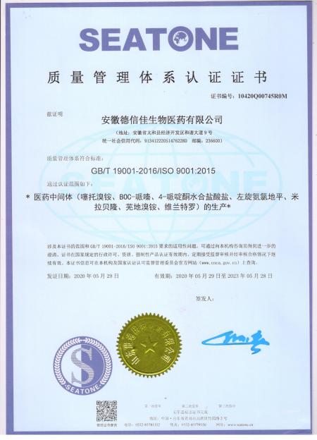 ISO9001(中文)