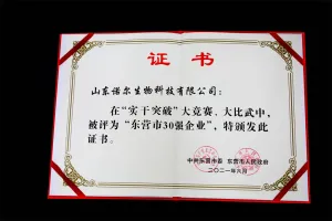荣誉证书