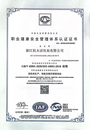 ISO45001