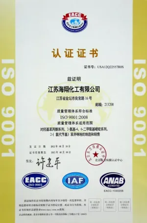 ISO9001(中文)