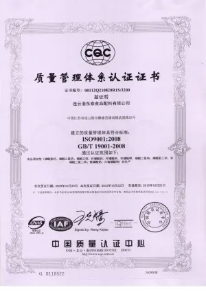 ISO9001(中文)