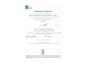 ISO9001(英文)