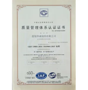 ISO9001(中文)