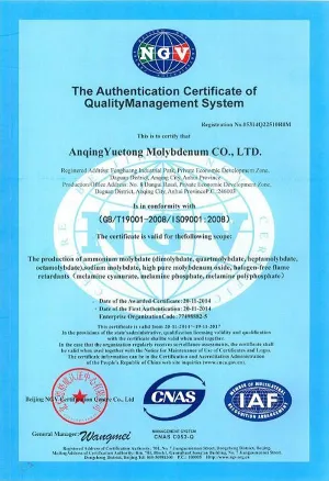 ISO9001(英文)