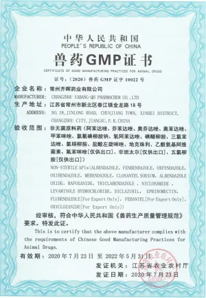 SFDA-GMP