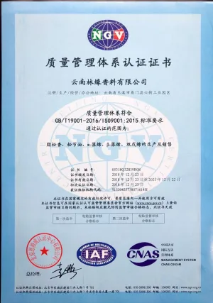 ISO9001(中文)
