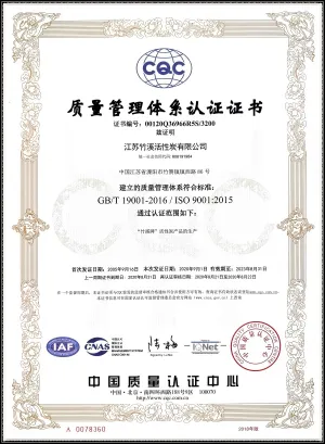 ISO9001(中文)