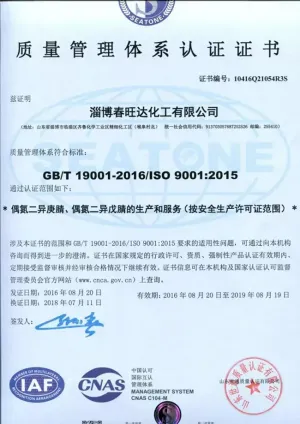 ISO9001(中文)