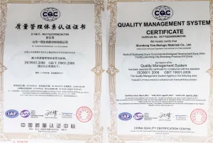 ISO9001(中文)