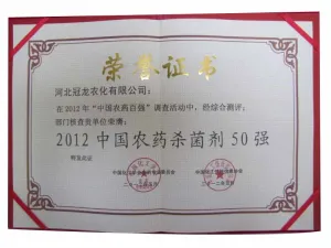 荣誉证书