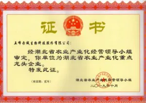 荣誉证书