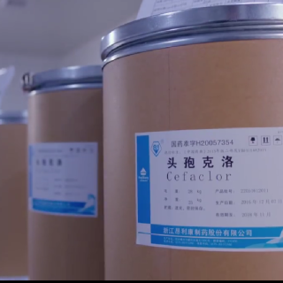头孢克洛
