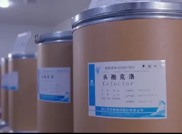 头孢克洛