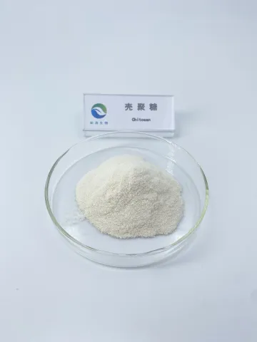 壳多糖、脱乙酰甲壳素、几丁聚糖