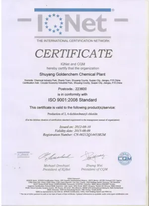 ISO9001(英文)